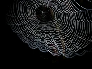 What is the dark web