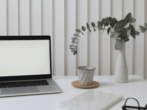 Alt tag: A minimalist home office setup with a laptop on a desk, a ceramic vase with eucalyptus branches, and a small potted plant beside a notebook.