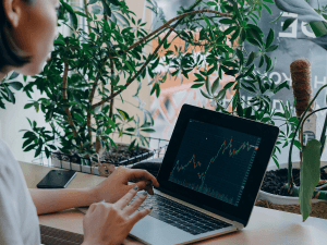 Person analyzing financial charts on a laptop in a cozy workspace surrounded by indoor plants.