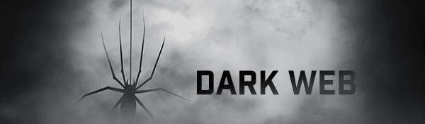 dark web image of a spider