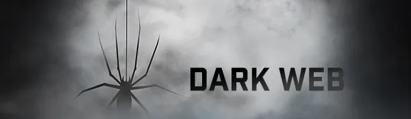 dark web image of a spider